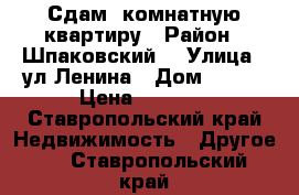 Сдам 1комнатную квартиру › Район ­ Шпаковский  › Улица ­ ул.Ленина › Дом ­ 167 › Цена ­ 6 000 - Ставропольский край Недвижимость » Другое   . Ставропольский край